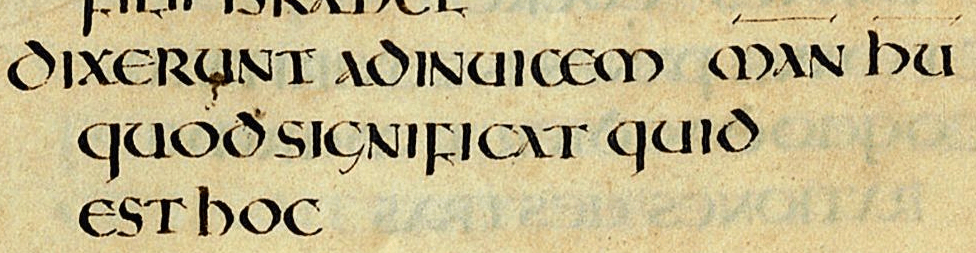 transcribing medieval manuscripts